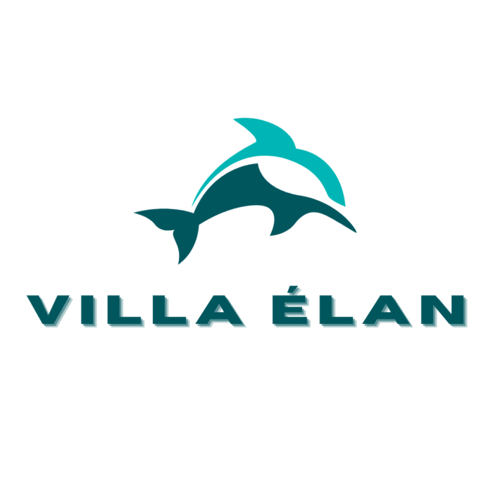 Élan